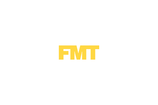 FMT - Flugmodell und Technik